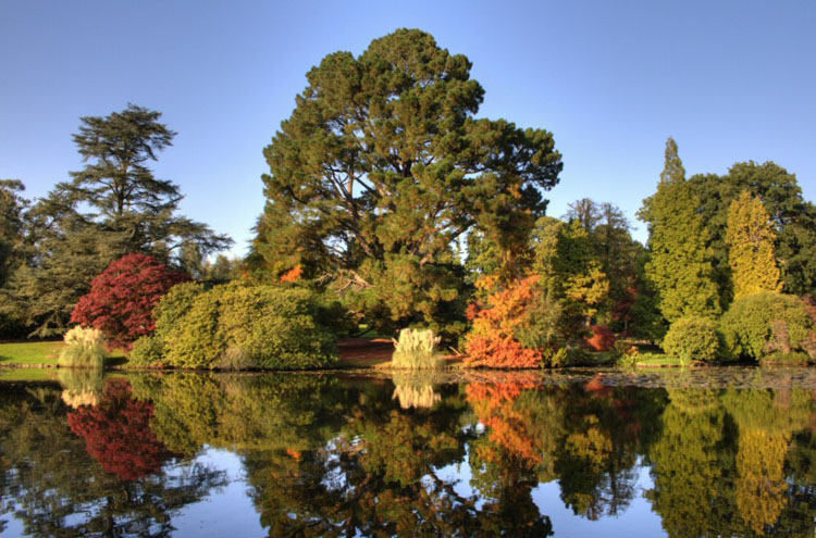 Autumn Colour