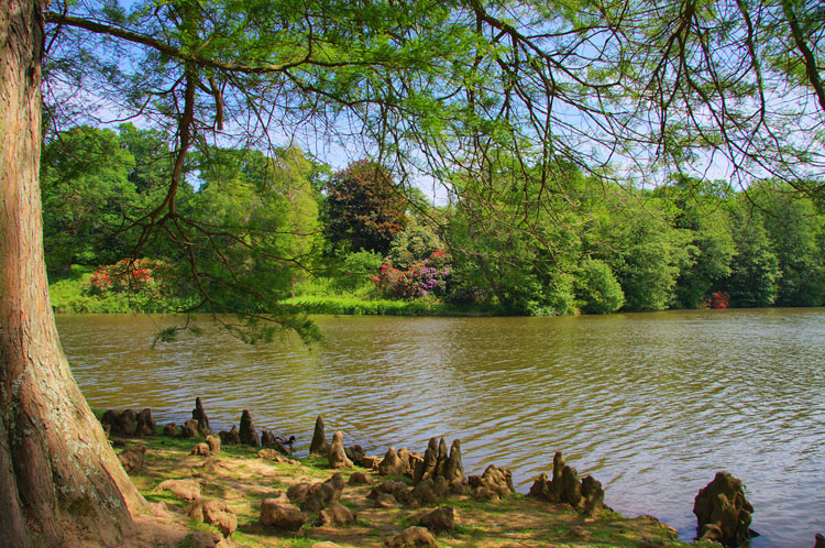 By the lake