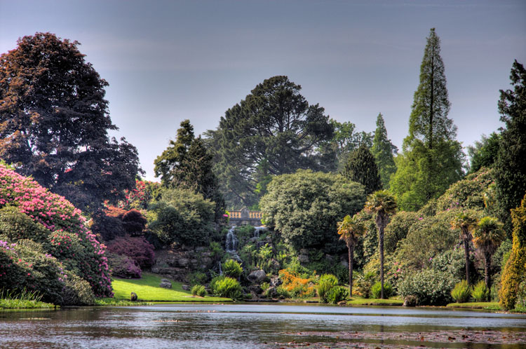 Sheffield Park Sunshine