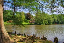 By the lake