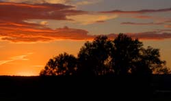 Pullborough Sunset