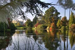 Sheffield Park