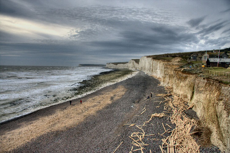 Driftwood