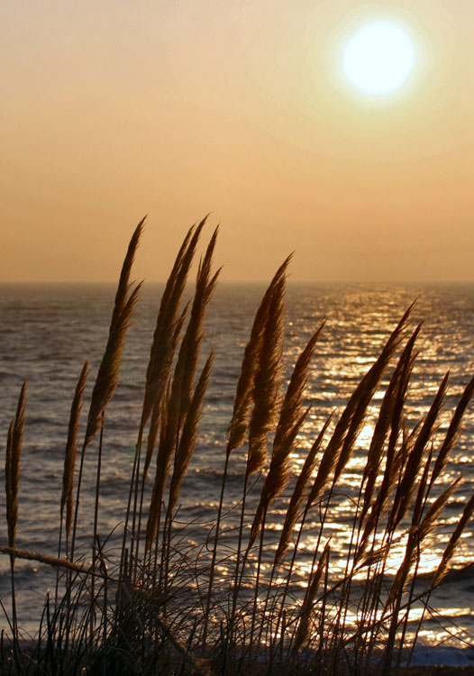 Morning At Sea