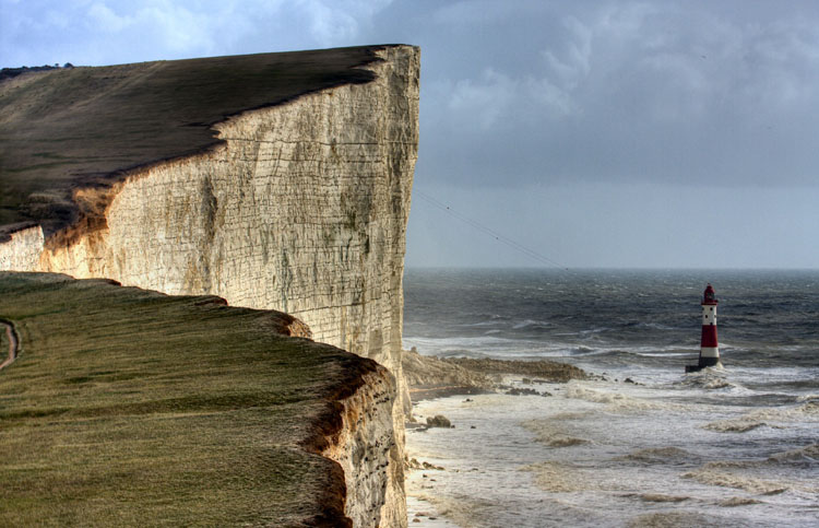 Wild Beachy Head