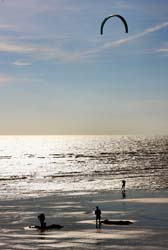 Beach silhouettes