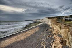 Driftwood