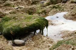 Rock_Pool