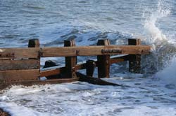 beach 113