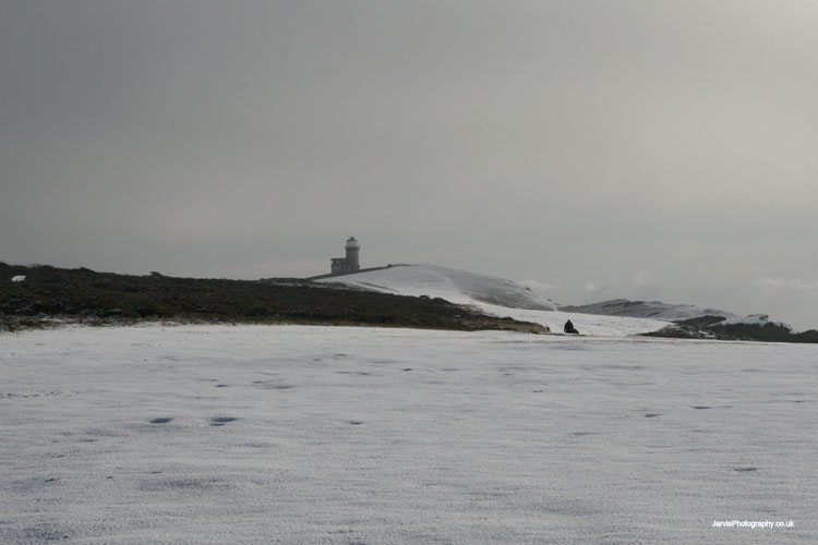 Belle Toute Snow