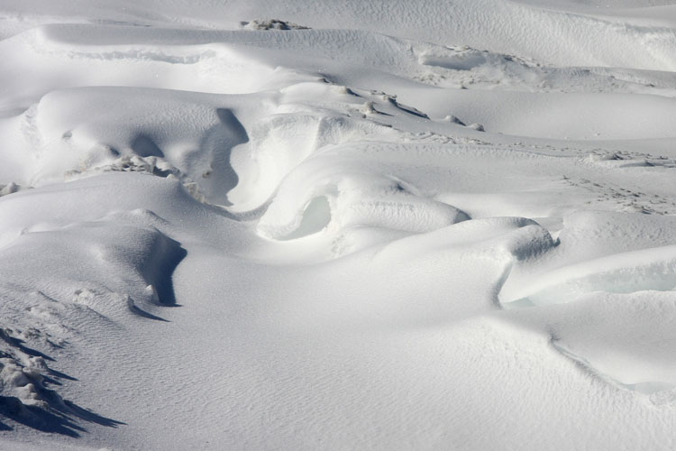 Carved by the wind