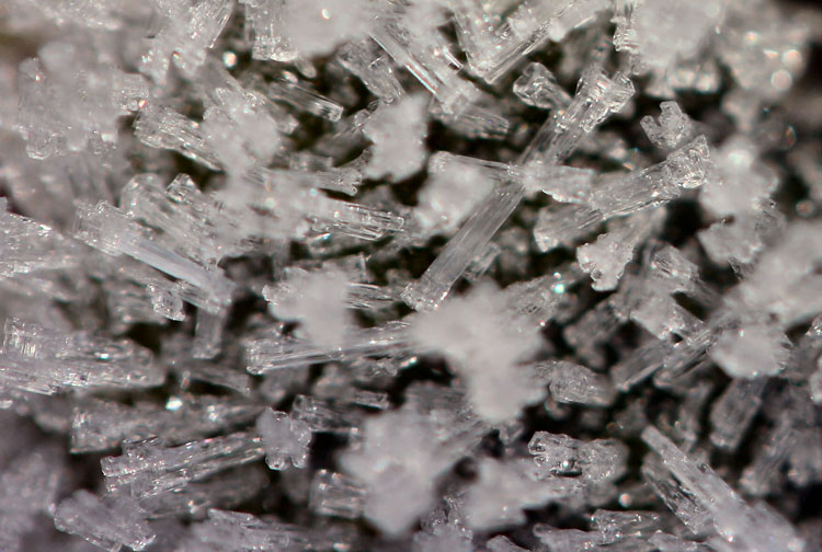 Frost Crystals