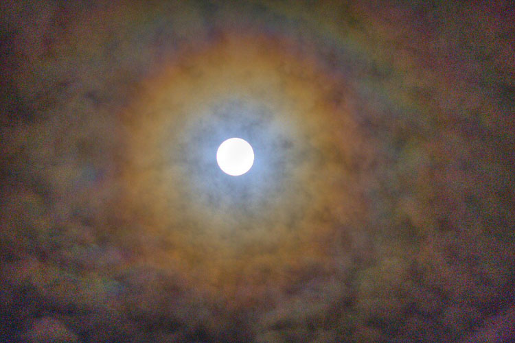 Halo Effect