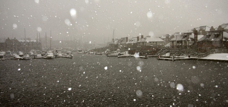 Harbour Snow Shower