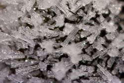 Frost Crystals