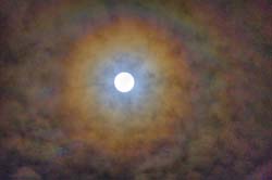 Halo Effect