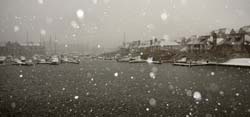 Harbour Snow Shower