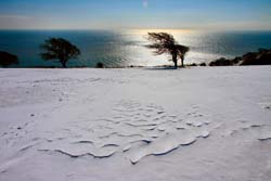 Snowfield