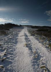 Snowy Path