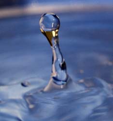 Crystal Ball