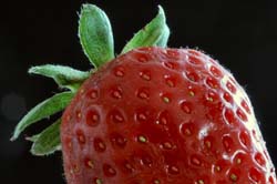 Strawberry4