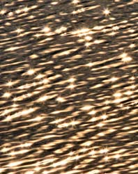 Sun on the water